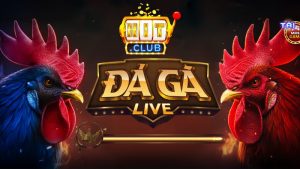 Tìm Hiểu Tổng Quan Về Đá Gà Hitclub Trước Khi Đặt Cược