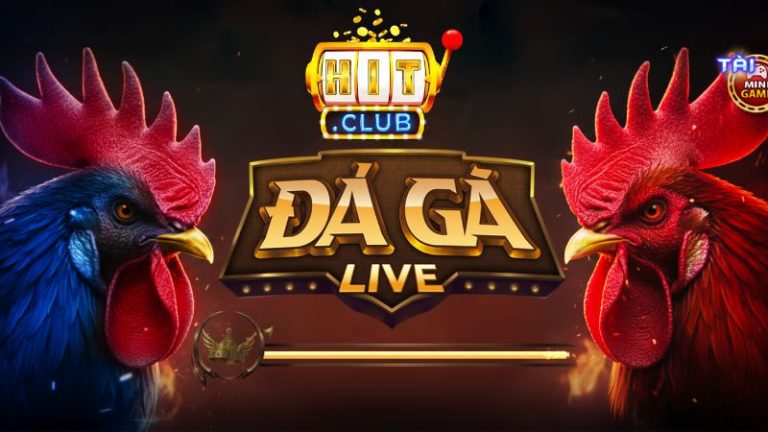 Tìm Hiểu Tổng Quan Về Đá Gà Hitclub Trước Khi Đặt Cược